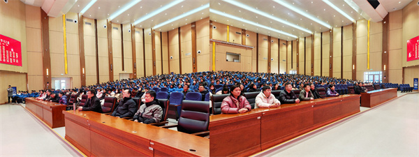 1772419221320798.jpg 11.jpg